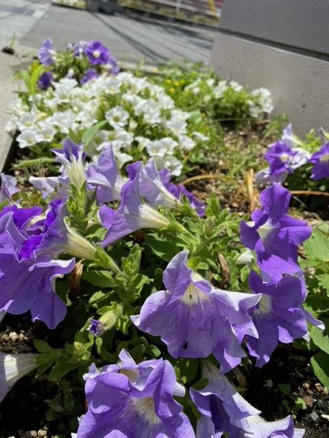 image0.jpeg